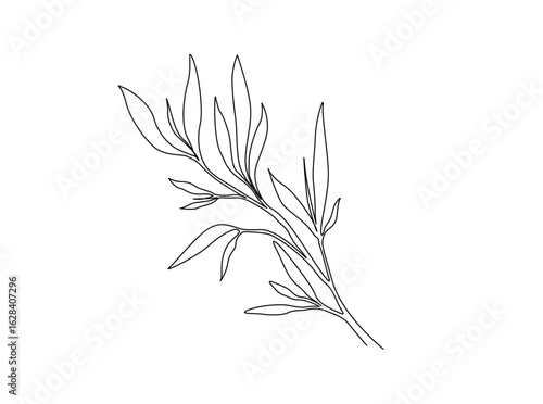 Bamboo Leaves in single outline illustration. Continuous line art drawing of bamboo leaf.
