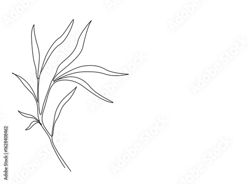 Bamboo Leaves in single outline illustration. Continuous line art drawing of bamboo leaf.