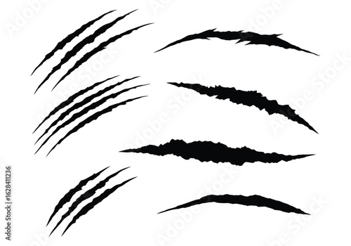 Set of aggressive black claw marks across a white surface serves as a dramatic graphic overlay for danger or wild animal themes.