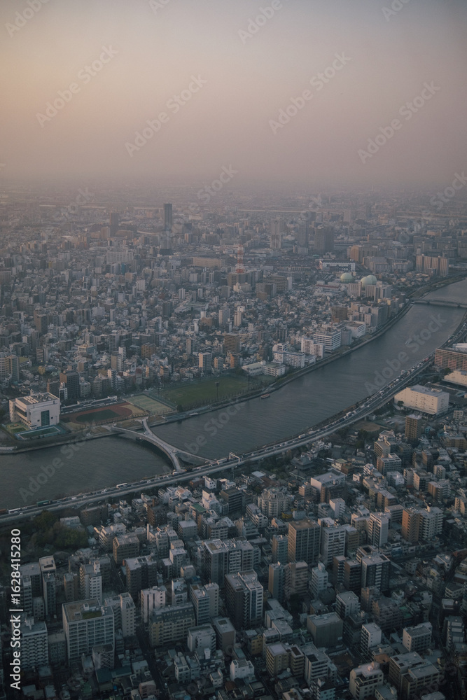 Obraz premium Skyline of Tokyo from Skytree