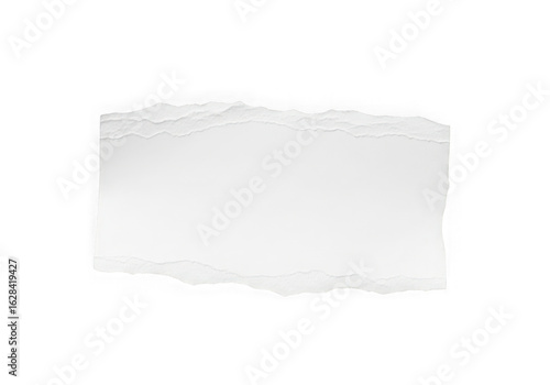 Wallpaper Mural White torn paper texture element design graphic resource isolated on transparent background Torontodigital.ca