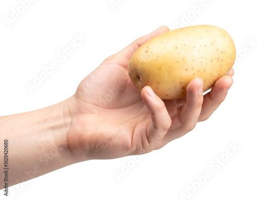 Hand holding a potato (2)