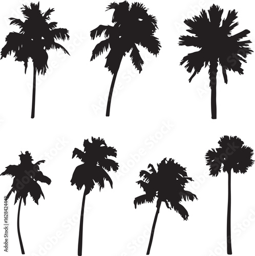Palm Tree Silhouettes Set in Black on White