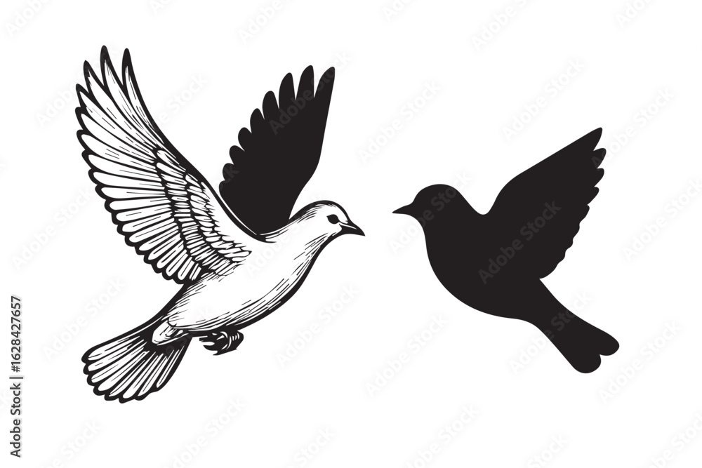 Fototapeta premium Flying Peace Dove Sketch and Silhouette