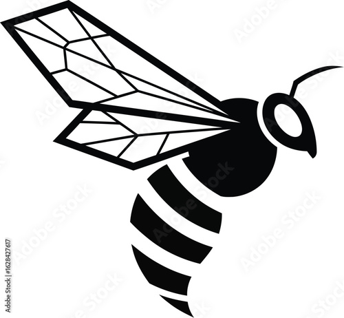 Black and white bee illustration on plain background, vector image
