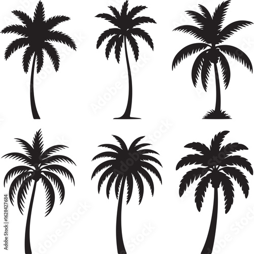 Palm Tree Silhouettes Set in Black on White