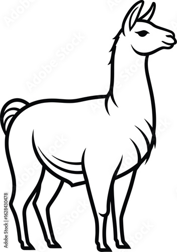 Minimal llama outline on plain background, line drawing style