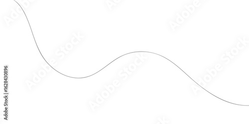Squiggle Curly Line. Decorative Design Element. vector file illustration.