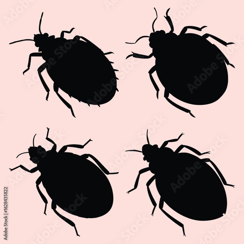 bed bug silhouette