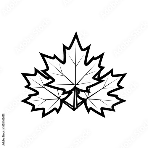 Three maple leaves arranged in a cluster with bold black outline design here