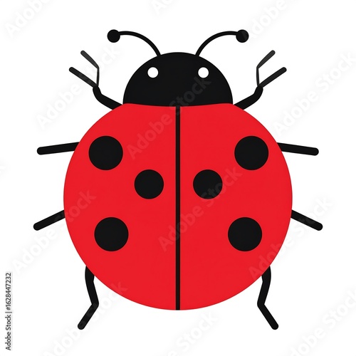 Ladybug illustration (1)