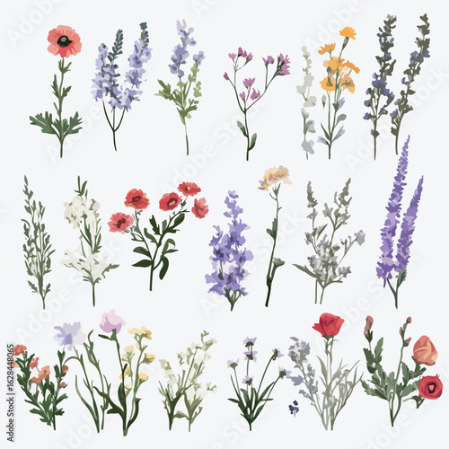Grunge oil painted wildflowers collection