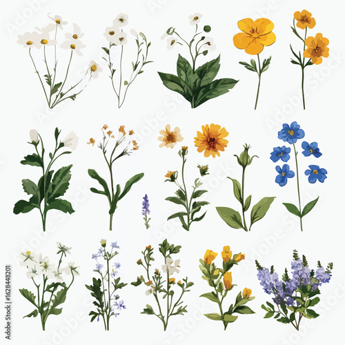 Grunge oil painted wildflowers collection