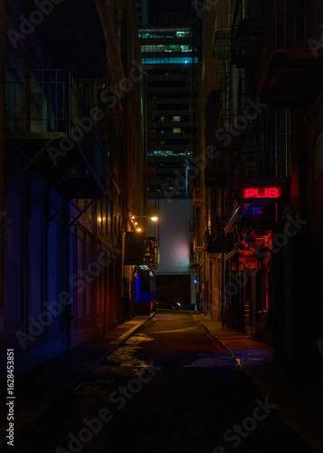 Canvas Print A red neon pub sign casts its glow down a wet, dark city alley at night