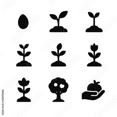 A vector icon set illustrating the concept of plant growth, showing the life cycle stages from seed to a fruit-bearing tree.