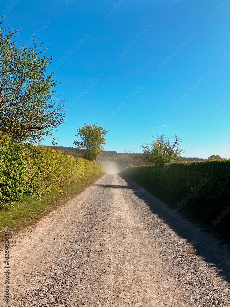 Fototapeta premium gravel road in the countryside in the cotswolds
