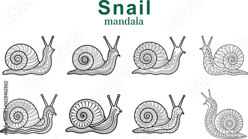 Intricate black and white snail mandalas featuring detailed patterns suitable for coloring and relaxation purposes.