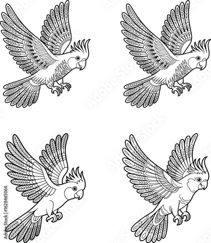 Intricate black and white illustration of four flying cockatoo parrots with detailed feather patterns
