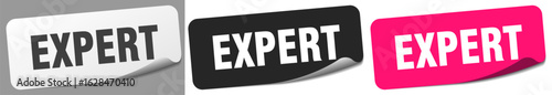 expert sticker. expert sticker set on white background