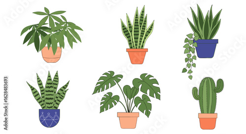 A beautiful collection of various potted houseplants bringing nature indoors for a fresh and vibrant atmosphere