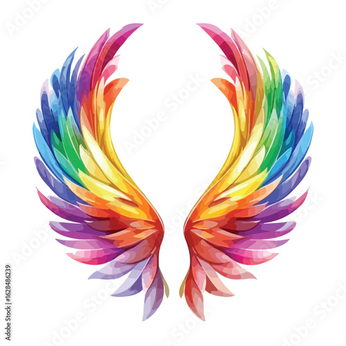 Vibrant Rainbow Wings Isolated on White