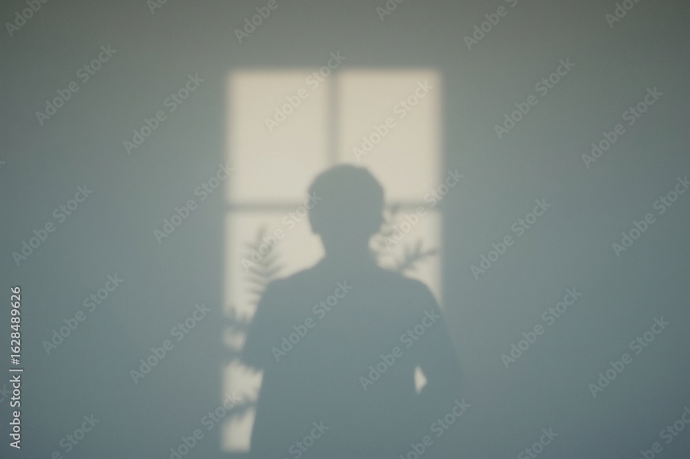 Obraz premium Shadowy figure, plant, indoor window, sunlit wall, calm