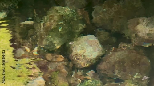 This close-up abstract image captures the mesmerizing reflection of light, leaves, and sky over submerged river stones. The water's gentle motion creates a dreamy, impressionistic effect that blends n