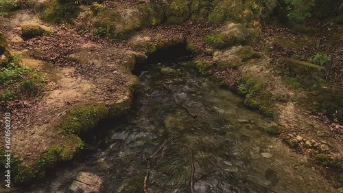 A calm forest stream flows gently over moss-covered rocks, surrounded by vibrant greenery and dappled sunlight. The peaceful water and natural textures create a serene and refreshing outdoor atmospher