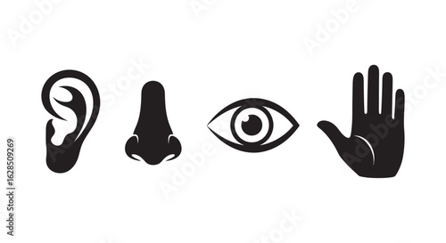 Collection of human sensory organs represented as simple black silhouettes
