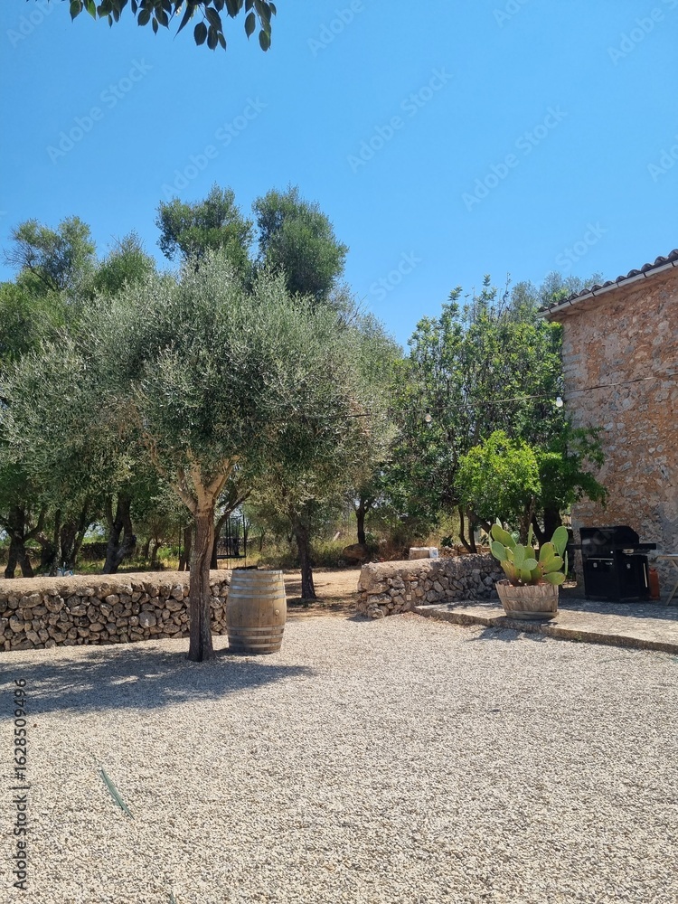 Fototapeta premium stone pathway in the park