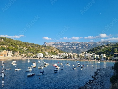 boats in the harbor