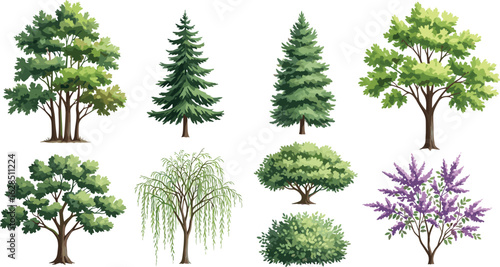 Vector tree collection, deciduous and coniferous trees set, garden plant illustrations, seasonal greenery clipart, decorative outdoor flora elements for natural landscape design