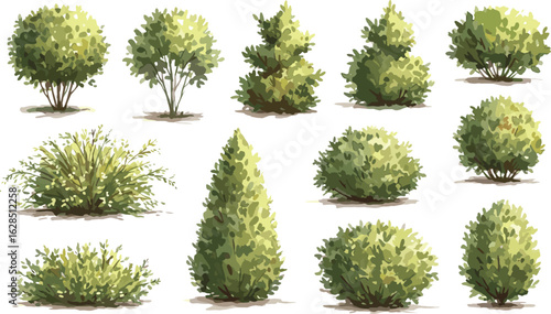 Vector bushes and shrubs set, green garden plant illustrations, landscaping foliage clipart, natural hedge elements, decorative flora collection for outdoor design use