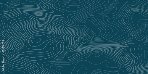 Abstract White wave paper curved reliefs abstract background, Abstract topographic contours map background, Topography map background. Vector geographic contour map. 