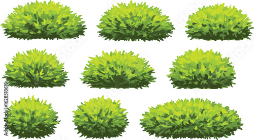Green bush set, realistic shrub vector, garden foliage collection, isolated greenery pack, landscape plant element, bright hedge clipart, decorative foliage illustration