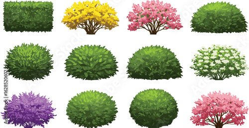 Colorful decorative bushes and shrubs, garden landscape clipart set, flowering plant illustration, green hedge vector, spring foliage elements, natural ornamental plants