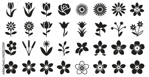 Floral icon collection with different flowers like tulips, roses, and wildflowers for nature and beauty applications