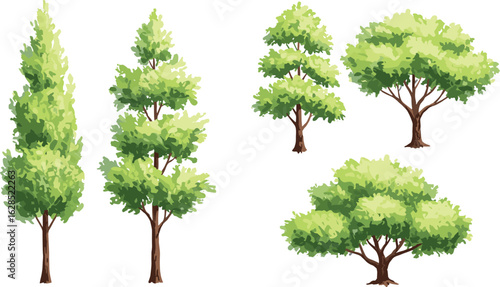 Various green trees illustration, landscape tree collection, garden plant clipart, natural forest vector, leafy tree set, hand drawn tree shapes