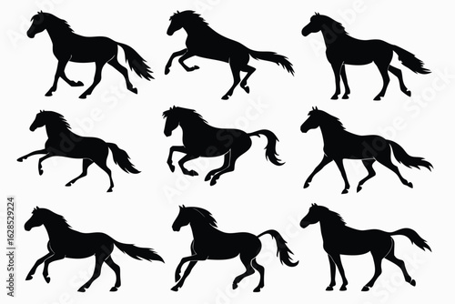 Collection of horse silhouettes in various poses and gaits