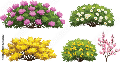 Flowering shrubs vector set, colorful garden bushes with pink, white, yellow flowers, spring floral design, decorative landscaping plants illustration