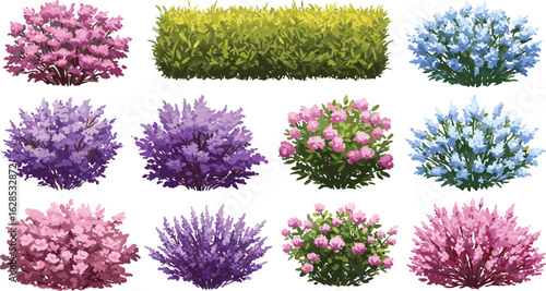 Flowering bush vector collection, colorful garden shrubs illustration, spring floral bushes, decorative landscape clipart, blooming hedge plants, nature flower foliage