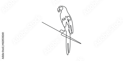 Parrot continuous one line drawing. Single line art parrot animal, vector illustration