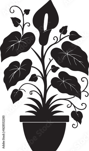 sapling vector art  কচুগাছ