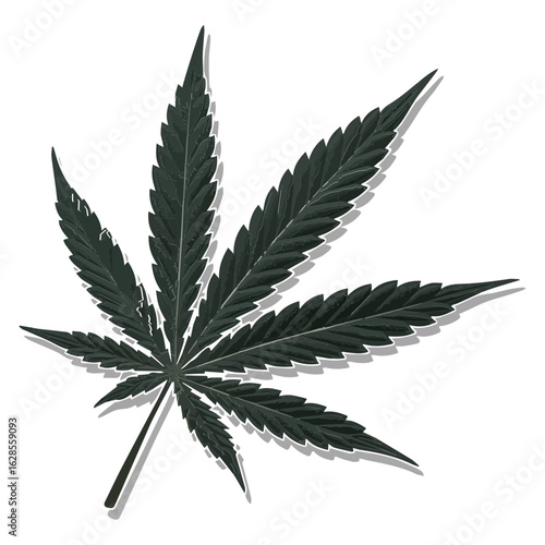 Vector illustration of Weed bud, marijuana, medical bud, cannabis isolated on white background