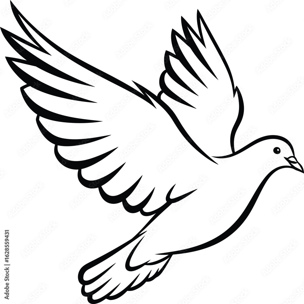 Fototapeta premium A white dove in flight with outstretched wings silhouette