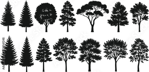 Tree silhouette vector set, black trees, coniferous and broadleaf shapes, botanical illustration, nature icons, isolated PNG, forest design