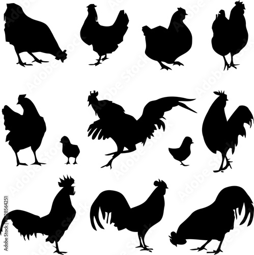 Chicken and Rooster Silhouette Set – 12 Black Vector Icons Including Chicks in Natural Farmyard Poses