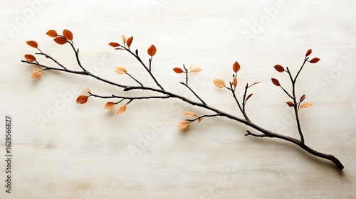 Autumn leaves in warm colors adorn a delicate branch that rests on a neutral surface, distilling the essence of the season