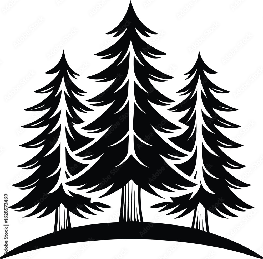 Fototapeta premium Black pine trees on white background forest nature