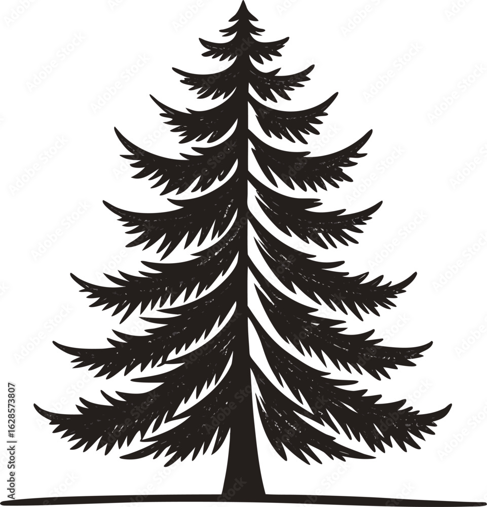 Obraz premium Tall pine tree silhouette with textured branches evergreen